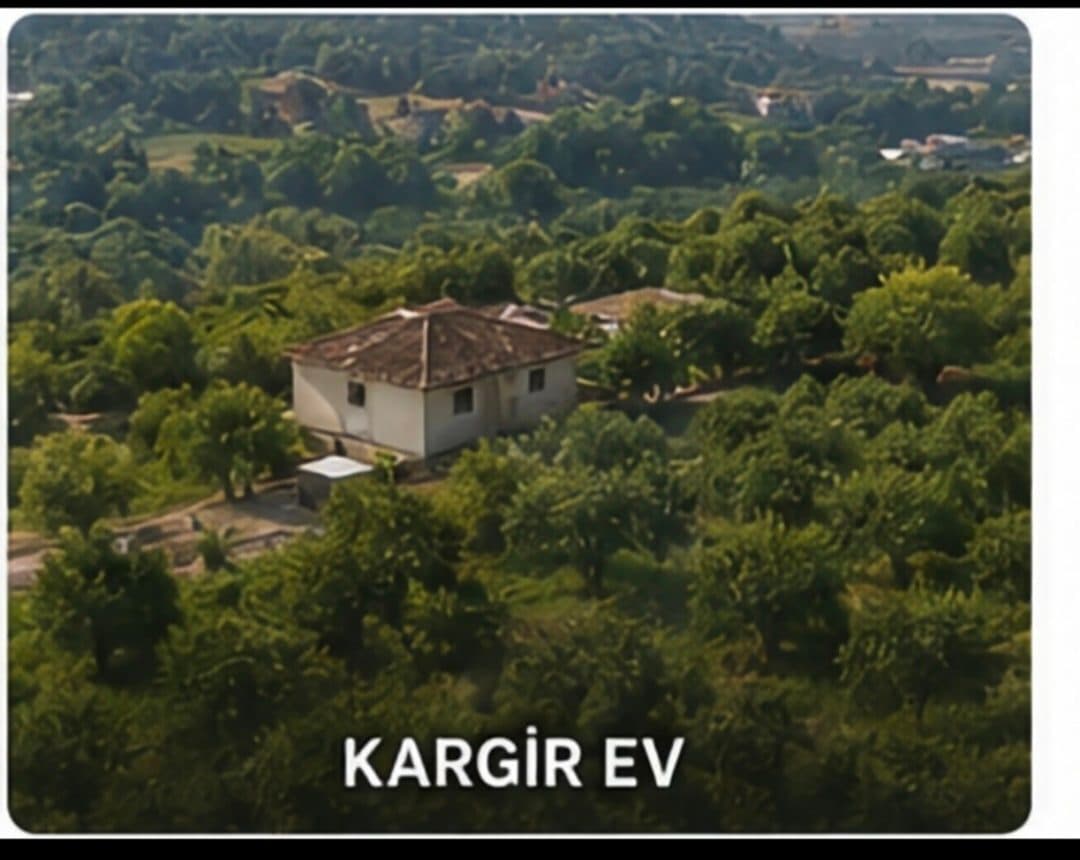 Arsa · Atça, Sultanhisar — fotoğraf 4/4