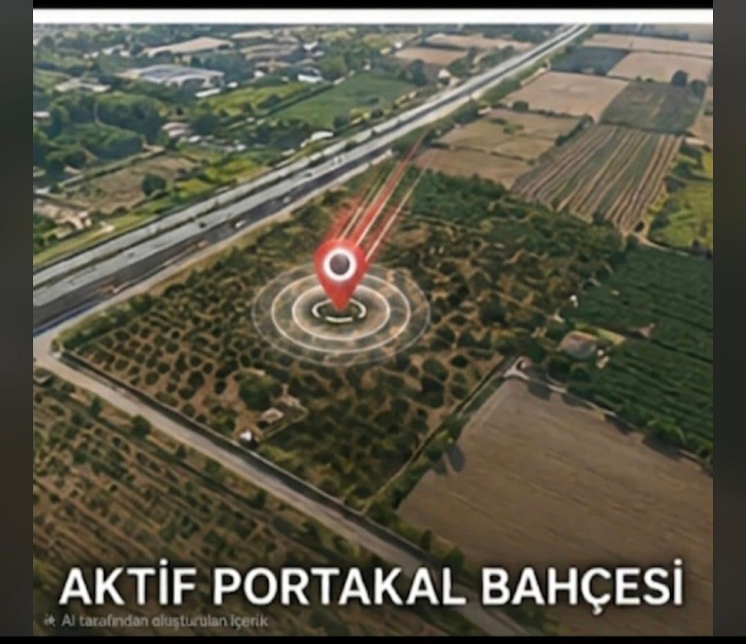 Aydın Nazilli İsabeyli'de Yola Sıfır 8.375 m2 Portakal Bahçesi5