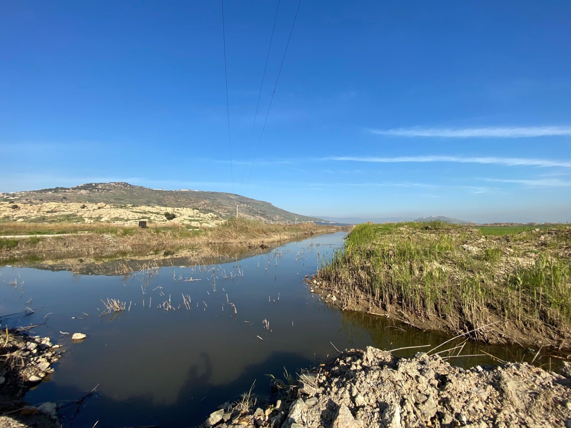 Arsa · Yenibağarası, Foça — fotoğraf 8/17