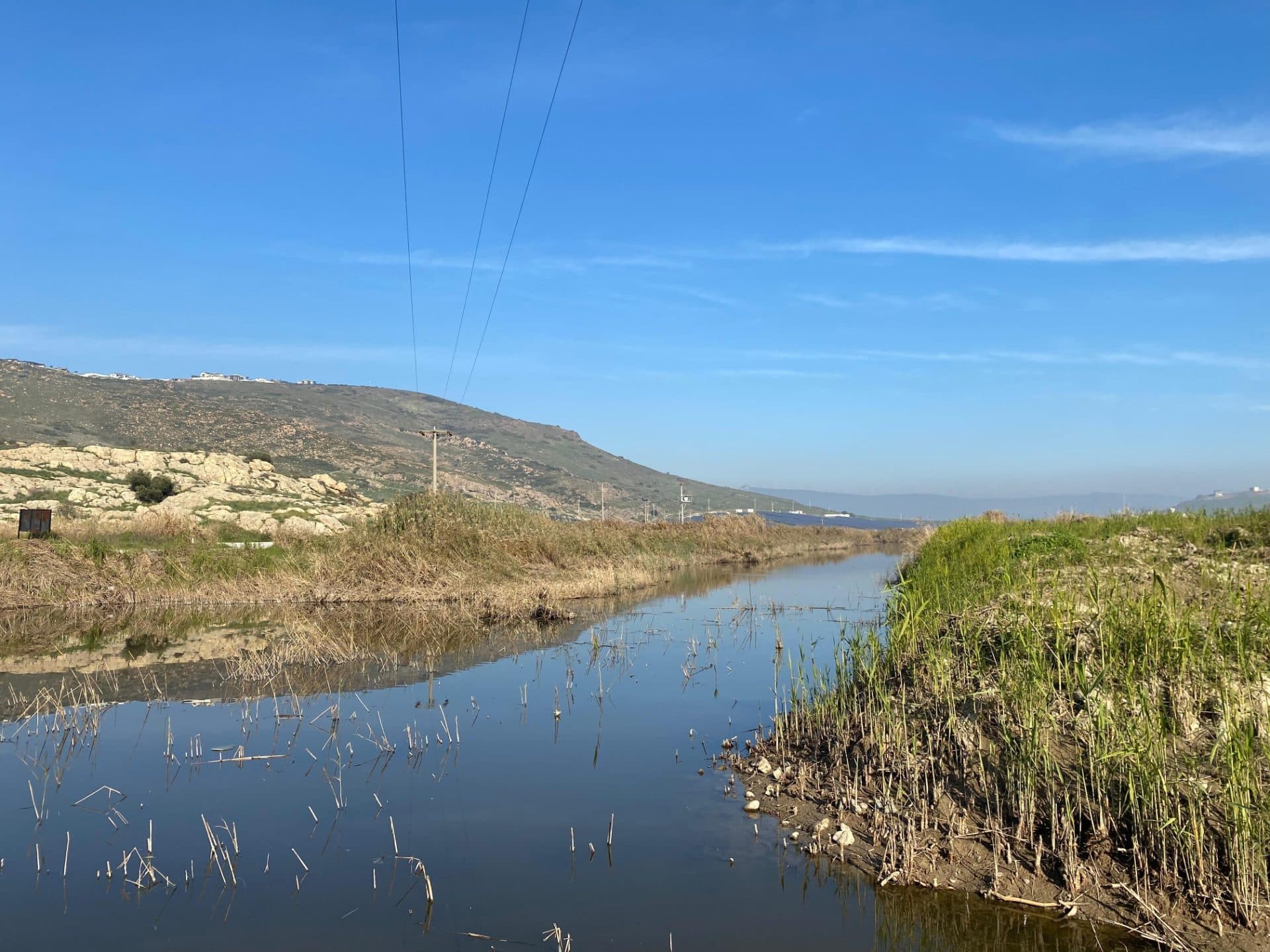 Arsa · Yenibağarası, Foça — fotoğraf 13/17