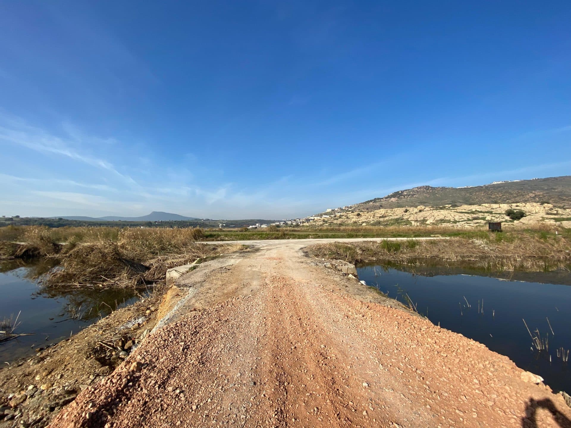 Arsa · Yenibağarası, Foça — fotoğraf 11/17