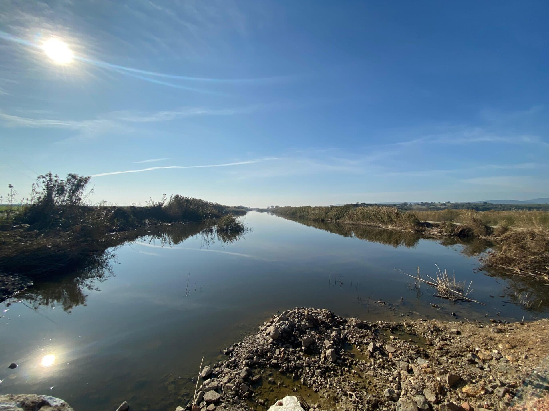 Arsa · Yenibağarası, Foça — fotoğraf 12/17