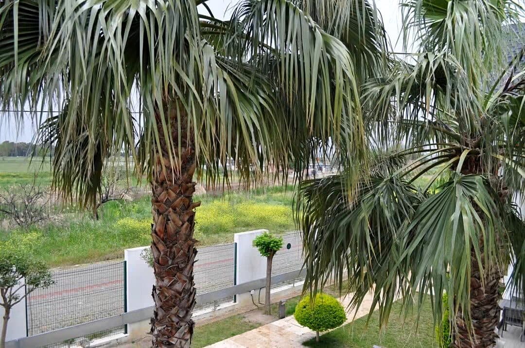 SASALI TURKUAZ SİTESİ’NDE KİRALIK PRESTİJLİ LÜKS VİLLA 4