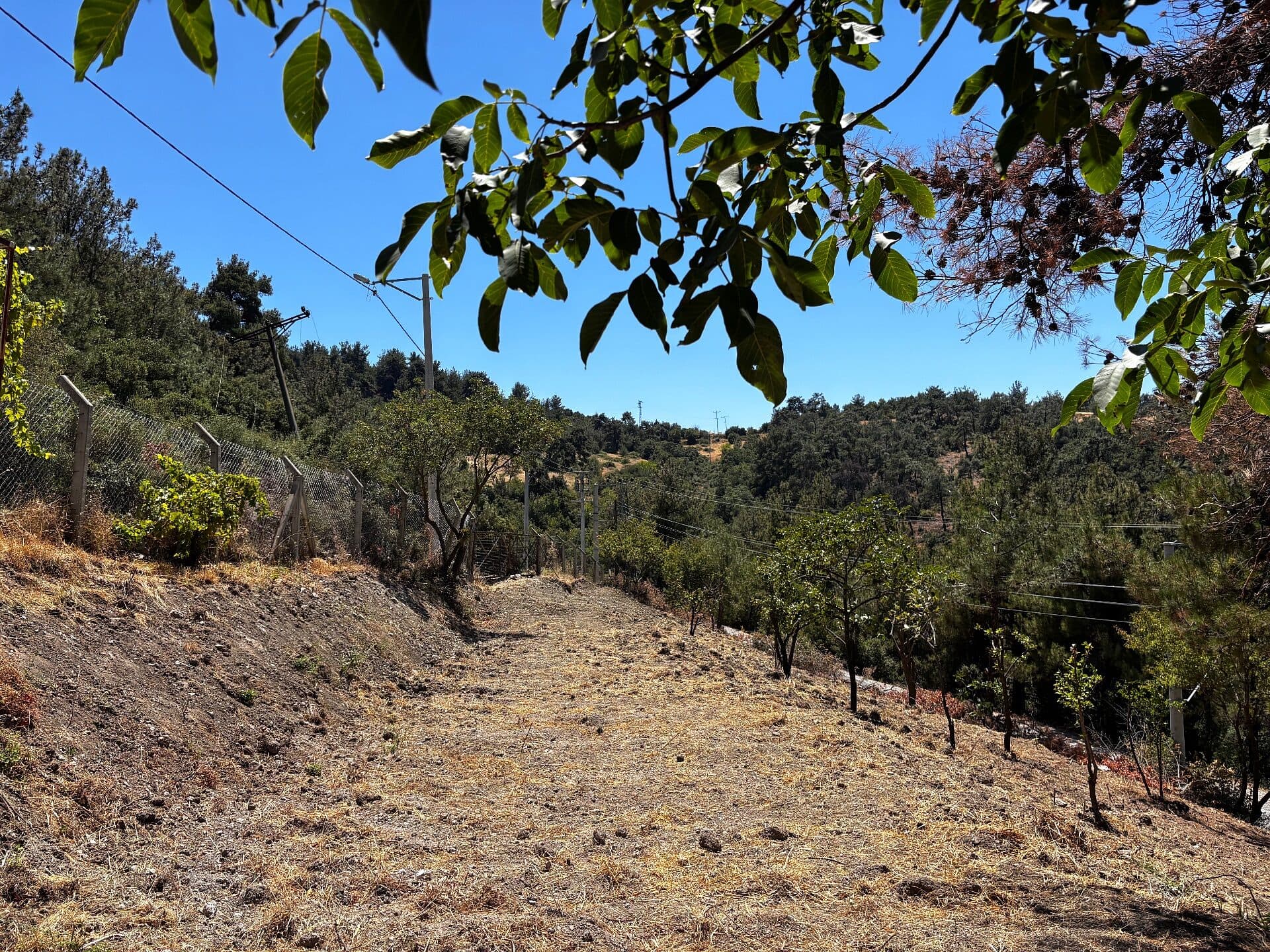 Land for Sale in Manisa