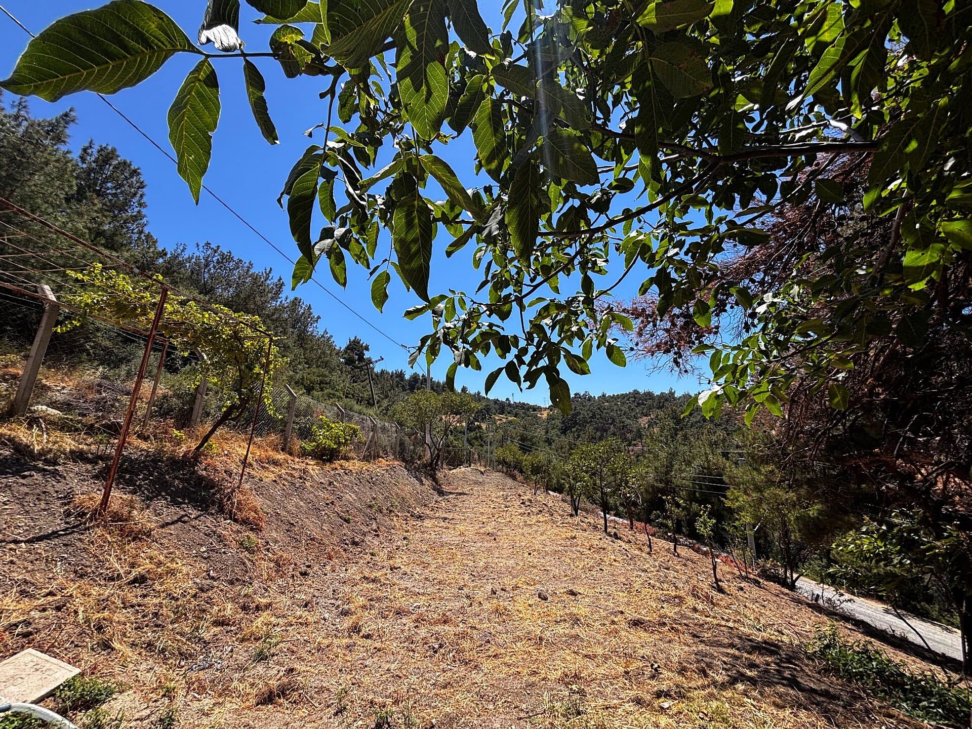 Land · Gökçeler, Yunus Emre — fotoğraf 6/18