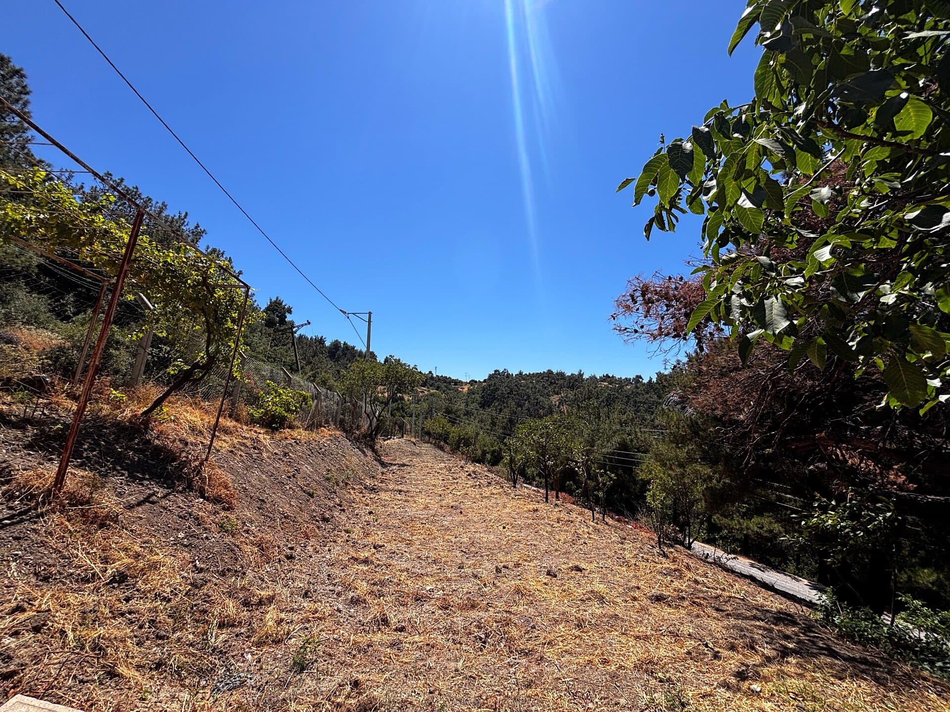 Land · Gökçeler, Yunus Emre — fotoğraf 8/18