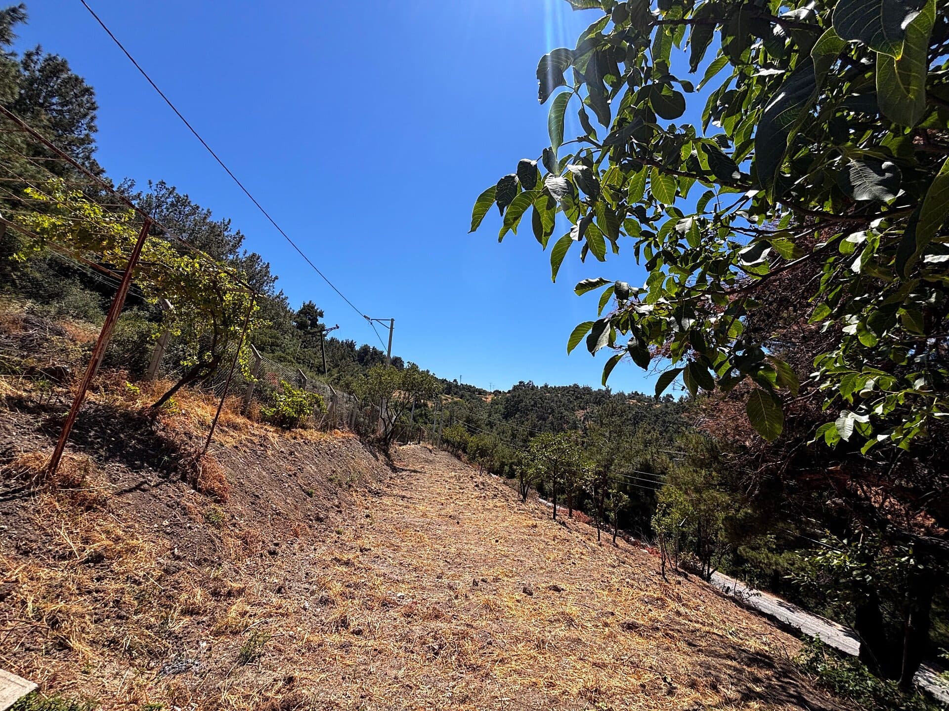 Land · Gökçeler, Yunus Emre — fotoğraf 7/18