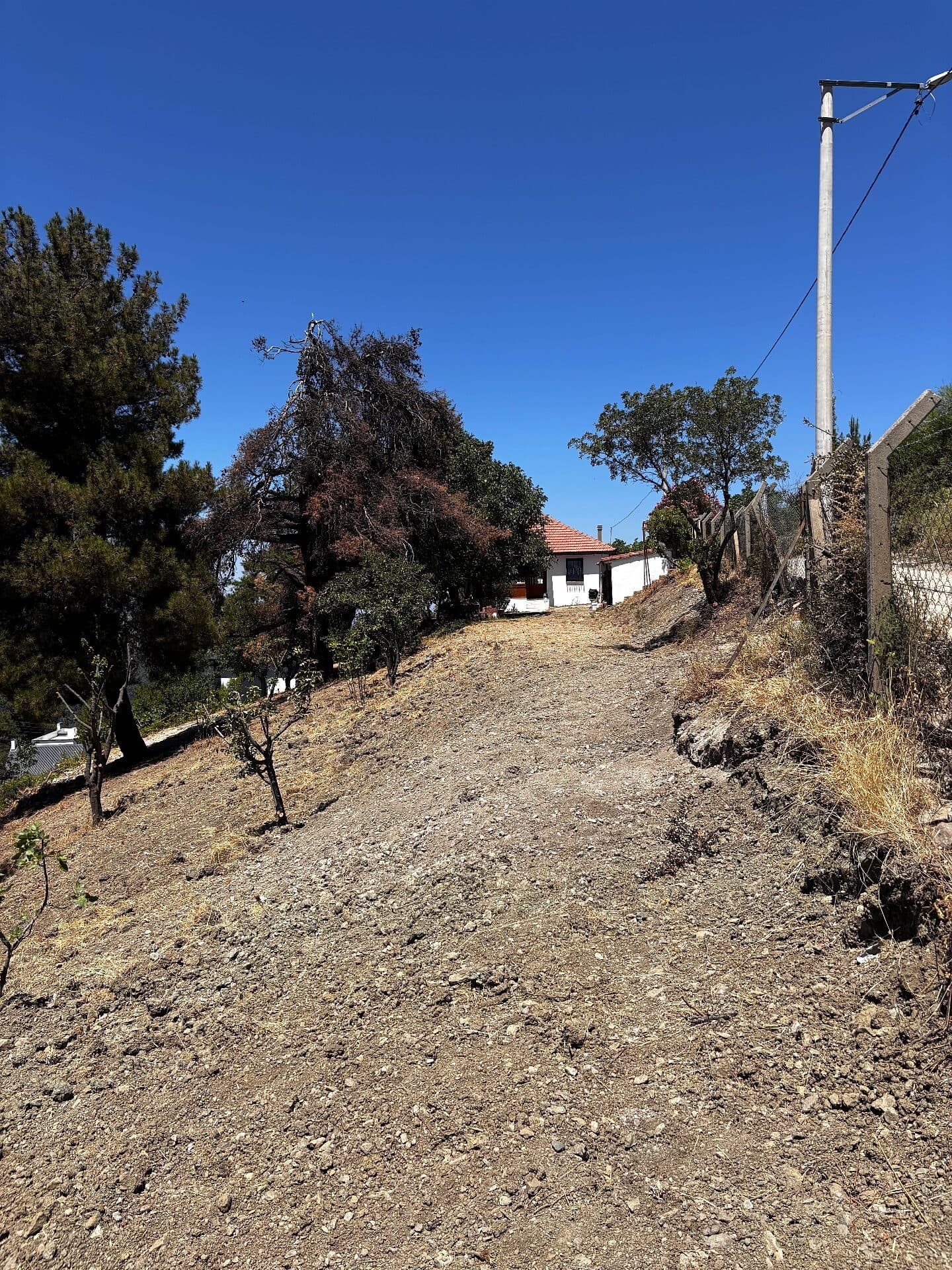 Land for Sale in Manisa 2