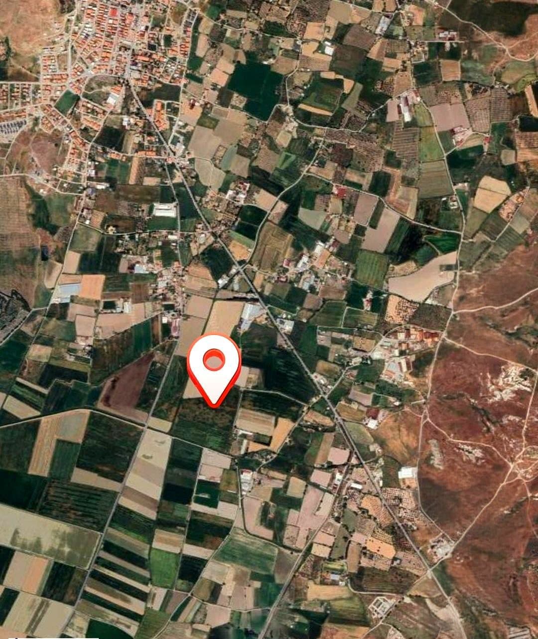 Arsa · Hacıveli, Foça — fotoğraf 6/13